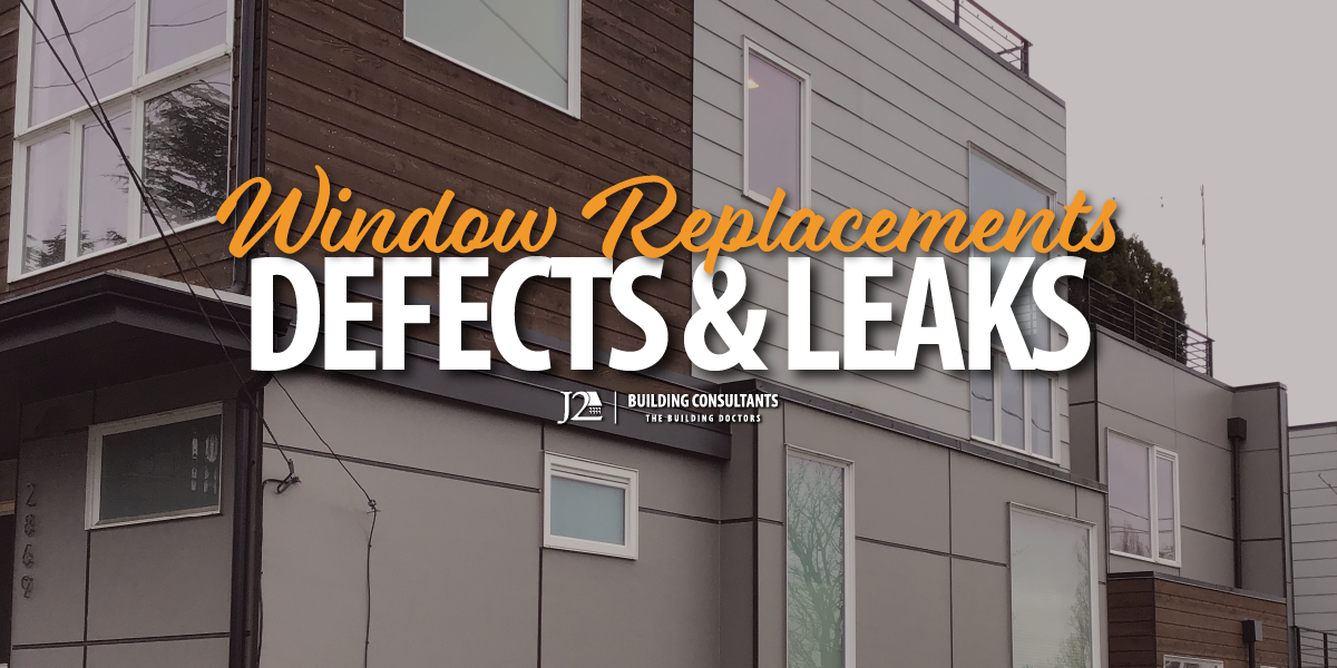 The Window Speakeasy: A Beginner’s Guide to Window Replacements in ...
